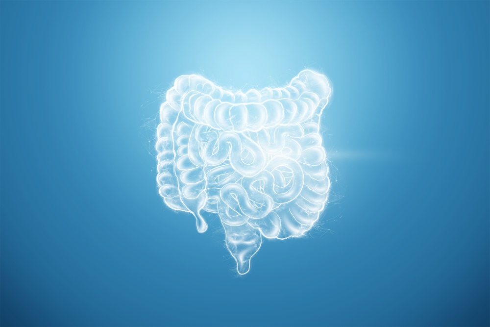 The Role of Nutrition and Gut Health in Sleep Regulation: Unlocking the Gut–Brain–Sleep Axis